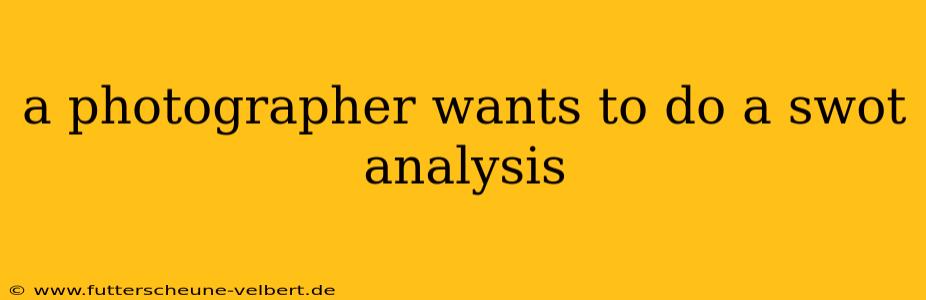 a photographer wants to do a swot analysis