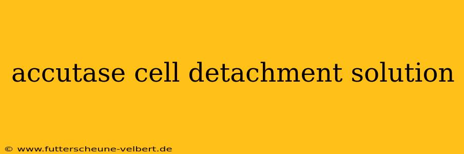 accutase cell detachment solution