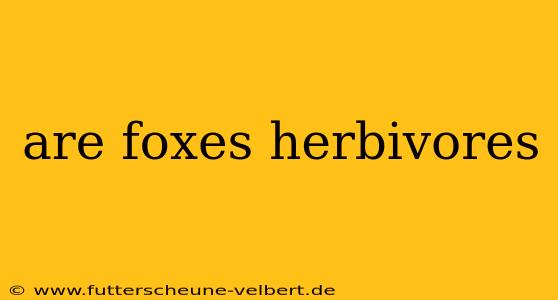are foxes herbivores