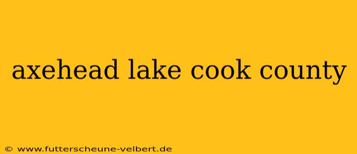 axehead lake cook county