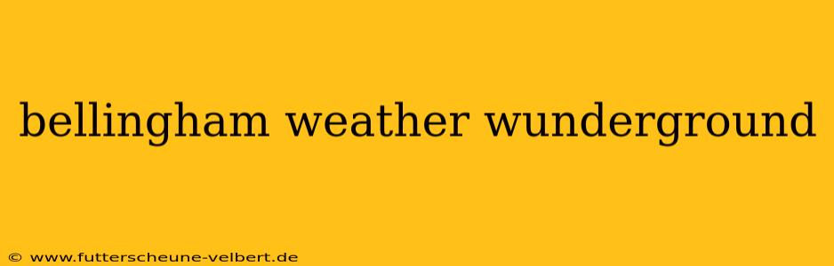 bellingham weather wunderground