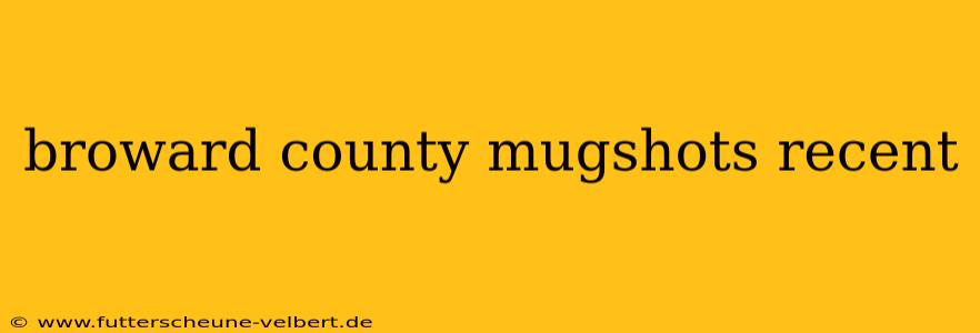 broward county mugshots recent