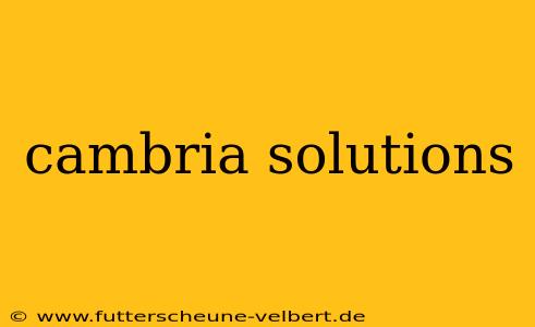 cambria solutions