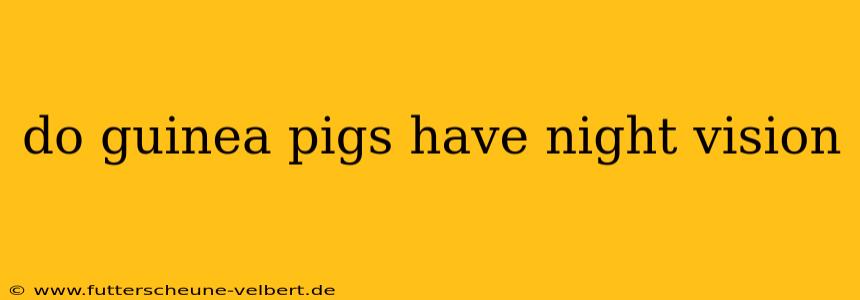 do guinea pigs have night vision