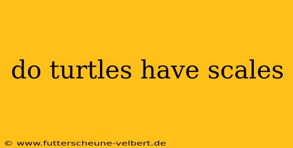 do turtles have scales