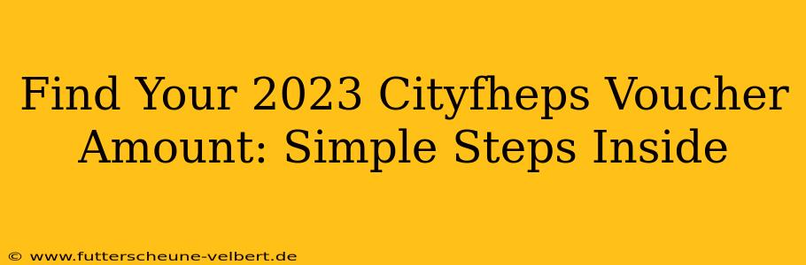 Find Your 2023 Cityfheps Voucher Amount: Simple Steps Inside