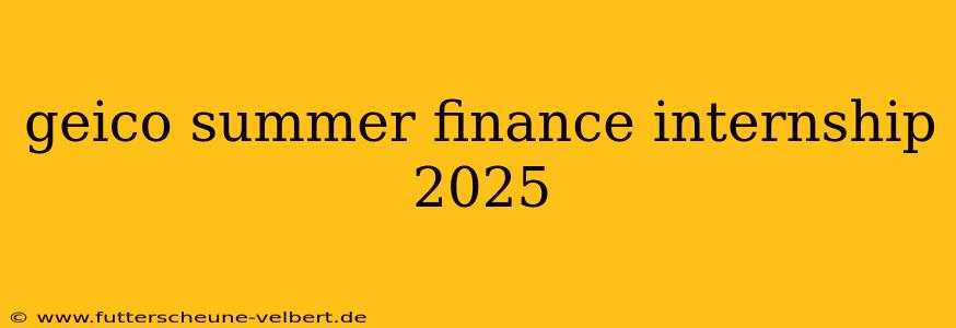 geico summer finance internship 2025