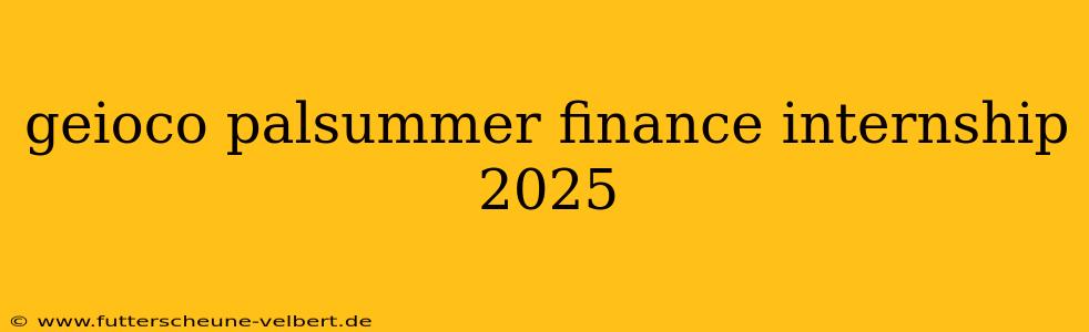 geioco palsummer finance internship 2025