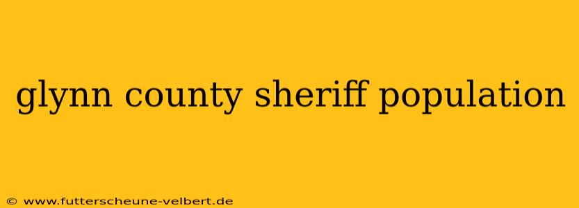 glynn county sheriff population