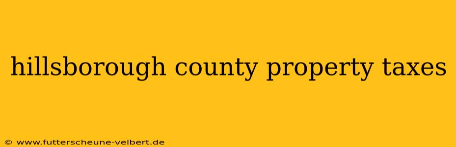 hillsborough county property taxes
