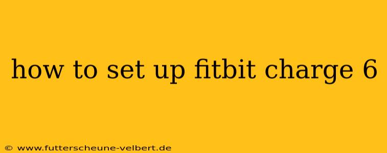 how to set up fitbit charge 6