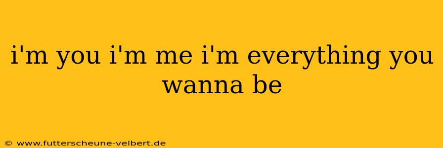 i'm you i'm me i'm everything you wanna be