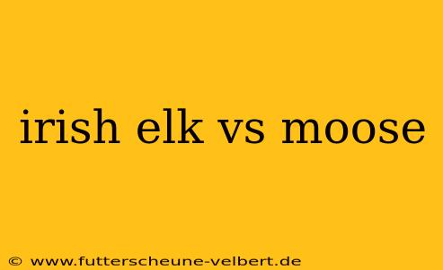 irish elk vs moose