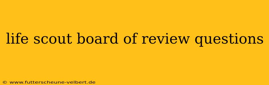 life scout board of review questions