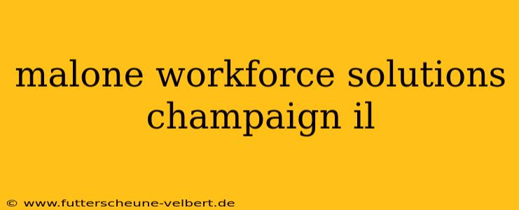 malone workforce solutions champaign il
