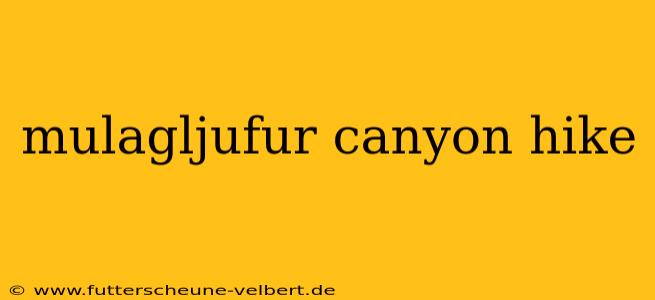 mulagljufur canyon hike
