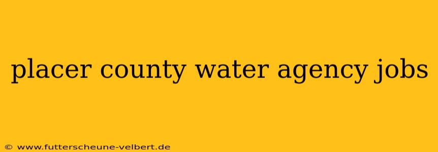 placer county water agency jobs