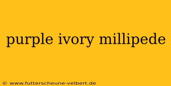 purple ivory millipede
