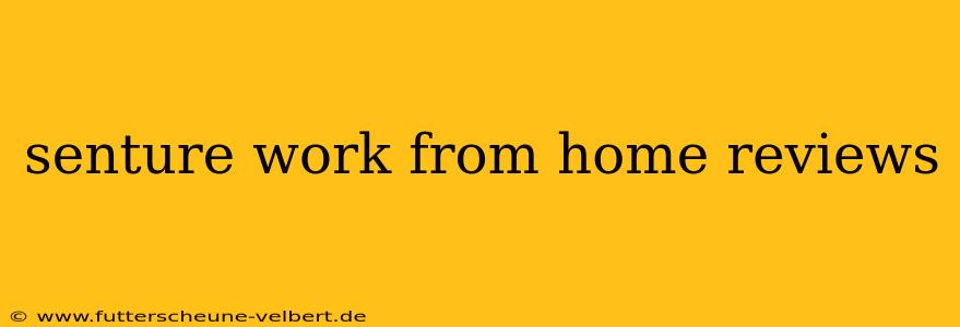 senture work from home reviews
