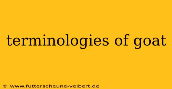 terminologies of goat