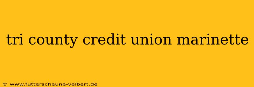 tri county credit union marinette