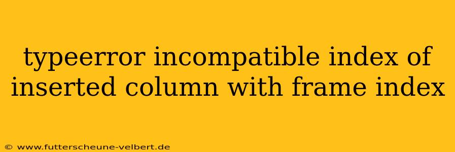typeerror incompatible index of inserted column with frame index