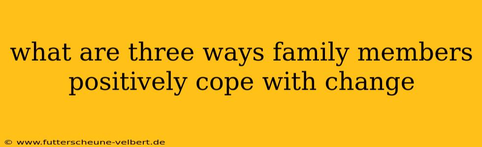 what are three ways family members positively cope with change