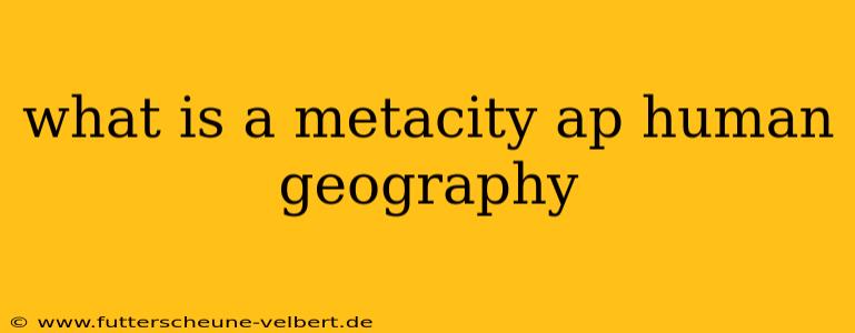 what is a metacity ap human geography