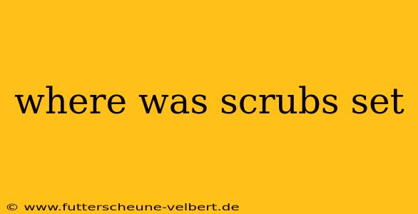 where was scrubs set