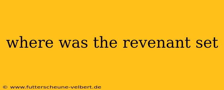 where was the revenant set