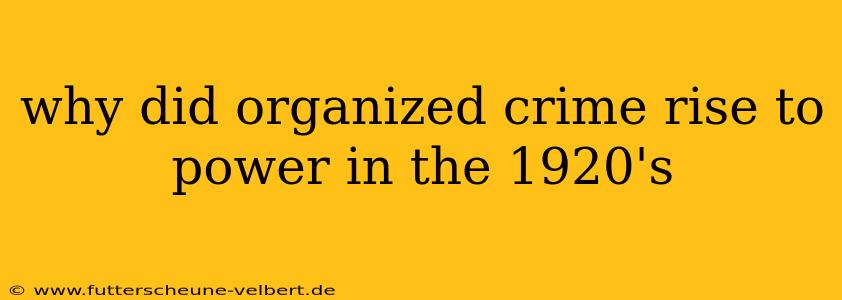 why did organized crime rise to power in the 1920's