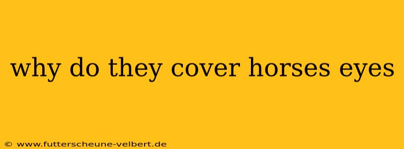 why do they cover horses eyes