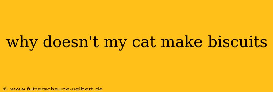 why doesn't my cat make biscuits