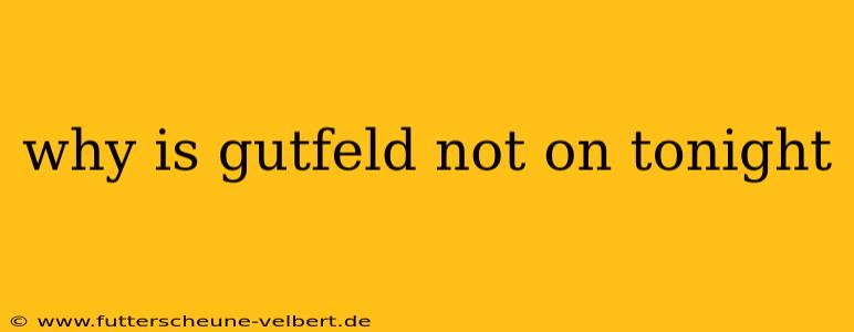why is gutfeld not on tonight