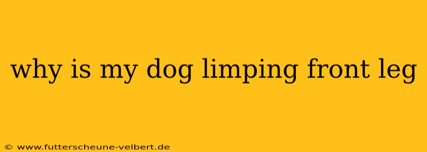 why is my dog limping front leg