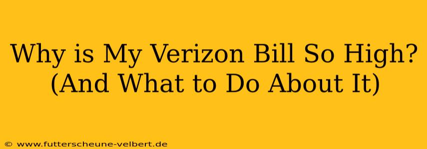 Why is My Verizon Bill So High?  (And What to Do About It)