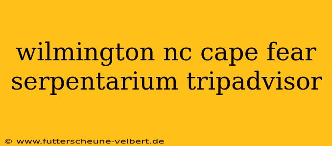 wilmington nc cape fear serpentarium tripadvisor