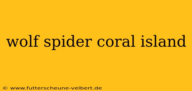 wolf spider coral island